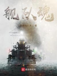 舰队魂